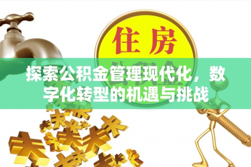 让胡路探索公积金管理现代化，数字化转型的机遇与挑战