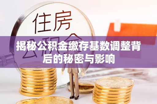 让胡路揭秘公积金缴存基数调整背后的秘密与影响