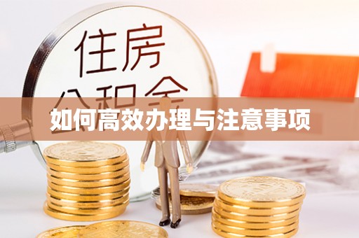 让胡路如何高效办理与注意事项