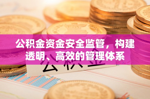 让胡路公积金资金安全监管，构建透明、高效的管理体系