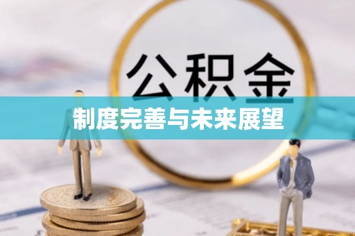 让胡路制度完善与未来展望