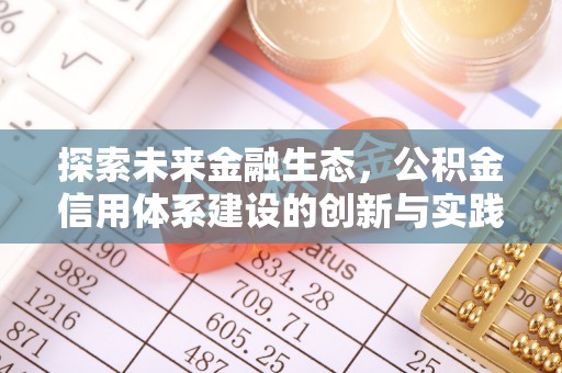 让胡路探索未来金融生态，公积金信用体系建设的创新与实践