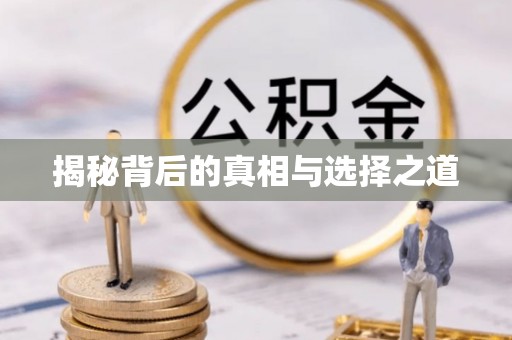 让胡路揭秘背后的真相与选择之道