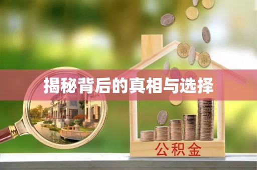 让胡路揭秘背后的真相与选择