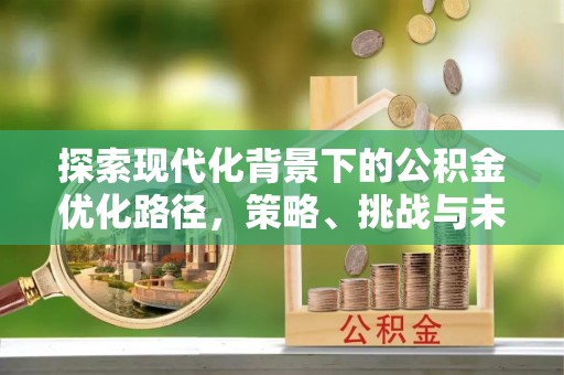 让胡路探索现代化背景下的公积金优化路径，策略、挑战与未来展望
