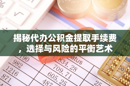 让胡路揭秘代办公积金提取手续费，选择与风险的平衡艺术