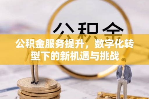 让胡路公积金服务提升，数字化转型下的新机遇与挑战
