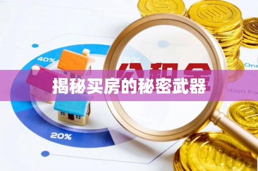 让胡路揭秘买房的秘密武器