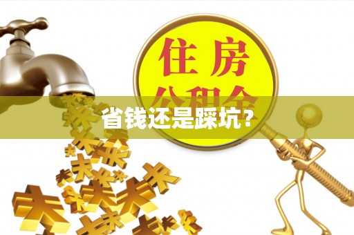 让胡路省钱还是踩坑？