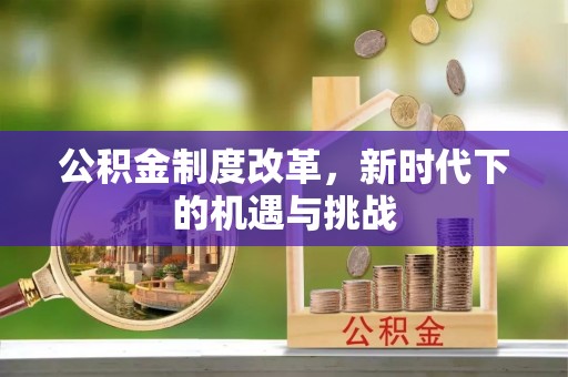 让胡路公积金制度改革，新时代下的机遇与挑战