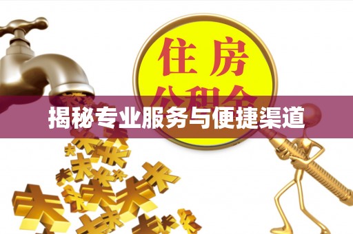让胡路揭秘专业服务与便捷渠道