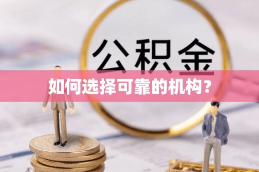 让胡路如何选择可靠的机构？