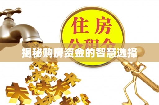 让胡路揭秘购房资金的智慧选择