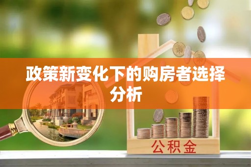 让胡路政策新变化下的购房者选择分析