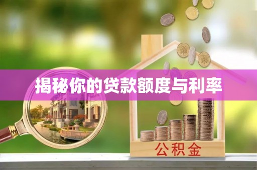 让胡路揭秘你的贷款额度与利率
