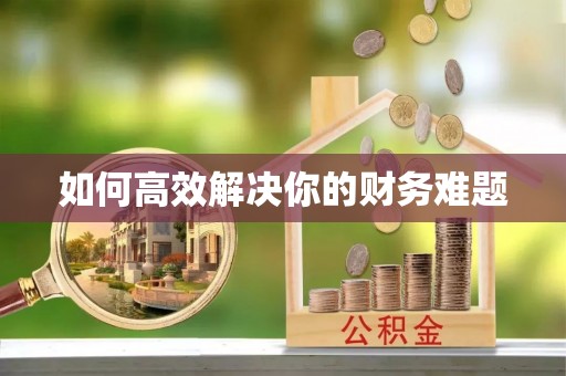让胡路如何高效解决你的财务难题