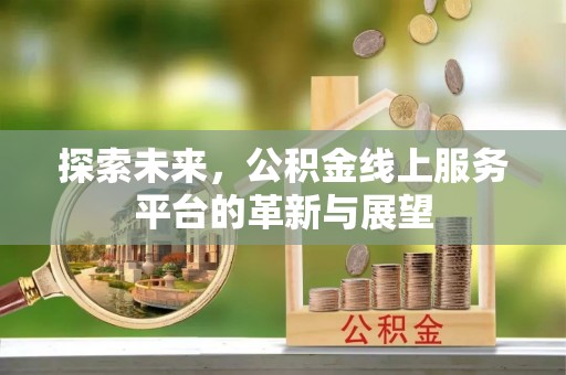 让胡路探索未来，公积金线上服务平台的革新与展望