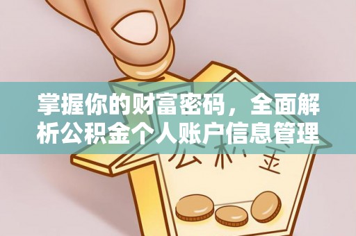 让胡路掌握你的财富密码，全面解析公积金个人账户信息管理