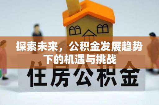 让胡路探索未来，公积金发展趋势下的机遇与挑战