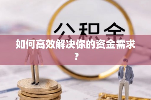 让胡路如何高效解决你的资金需求？