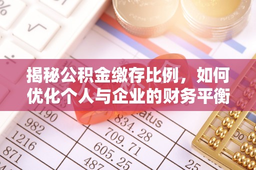 让胡路揭秘公积金缴存比例，如何优化个人与企业的财务平衡
