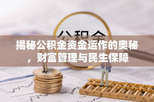 让胡路揭秘公积金资金运作的奥秘，财富管理与民生保障