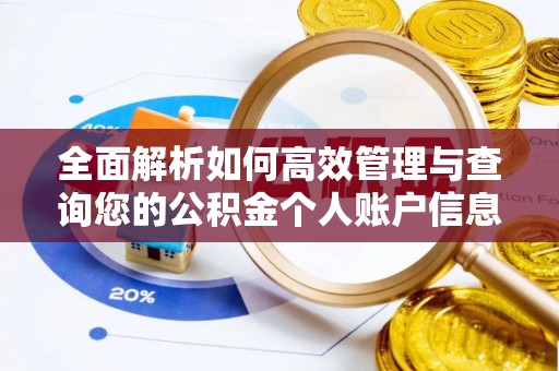 让胡路全面解析如何高效管理与查询您的公积金个人账户信息