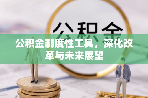 让胡路公积金制度性工具，深化改革与未来展望