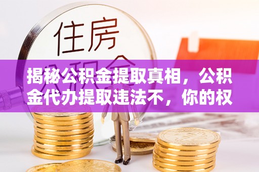 让胡路揭秘公积金提取真相，公积金代办提取违法不，你的权益如何保障？