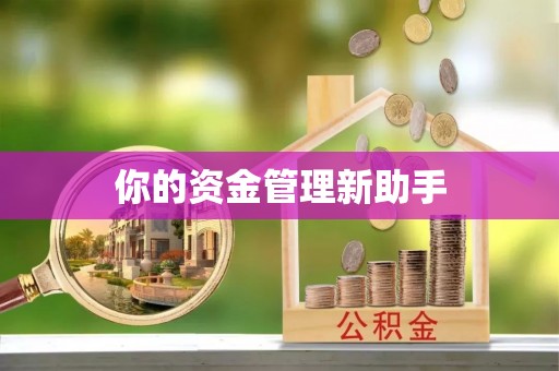 让胡路你的资金管理新助手