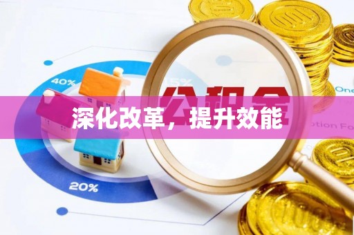 让胡路深化改革，提升效能