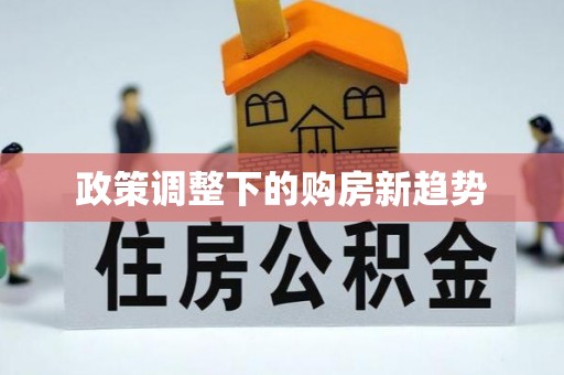 让胡路政策调整下的购房新趋势