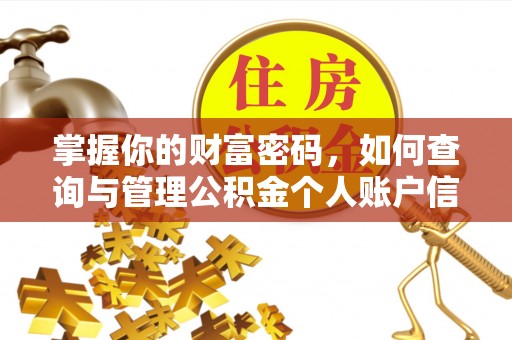 让胡路掌握你的财富密码，如何查询与管理公积金个人账户信息