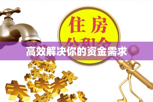 让胡路高效解决你的资金需求