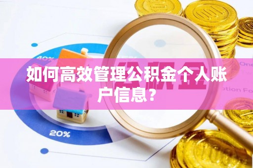 让胡路如何高效管理公积金个人账户信息？