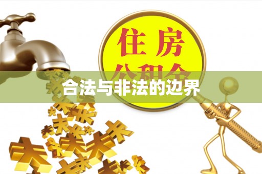 让胡路合法与非法的边界