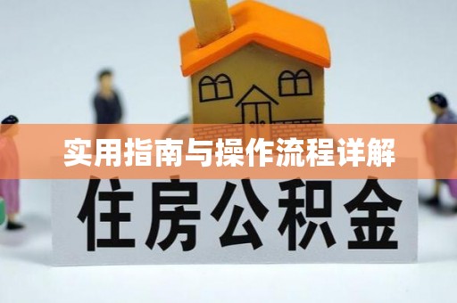 让胡路实用指南与操作流程详解