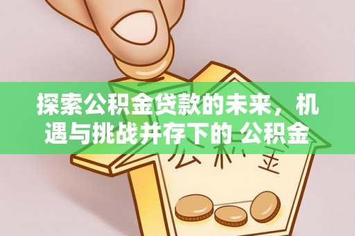 让胡路探索公积金贷款的未来，机遇与挑战并存下的 公积金贷款风险防控