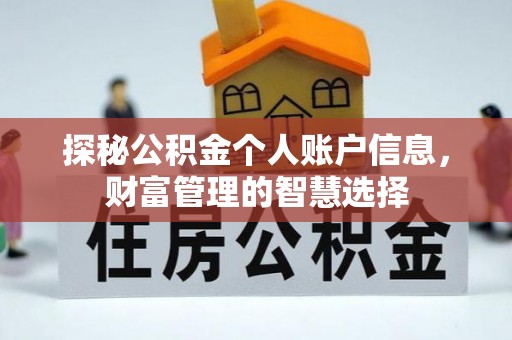 让胡路探秘公积金个人账户信息，财富管理的智慧选择