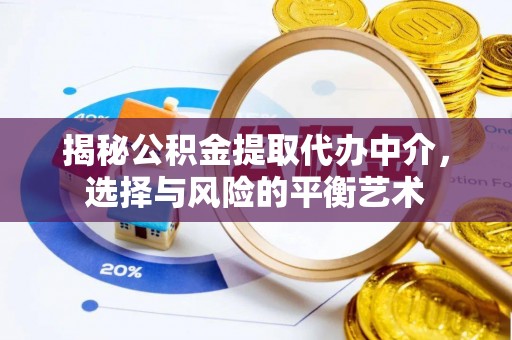 让胡路揭秘公积金提取代办中介，选择与风险的平衡艺术