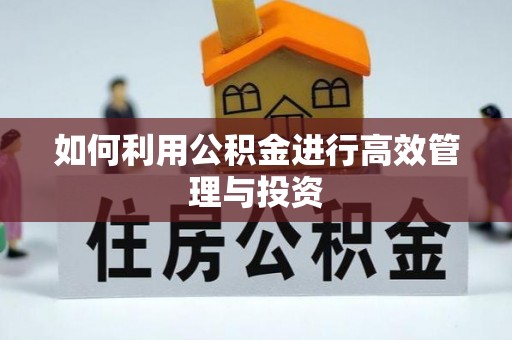 让胡路如何利用公积金进行高效管理与投资