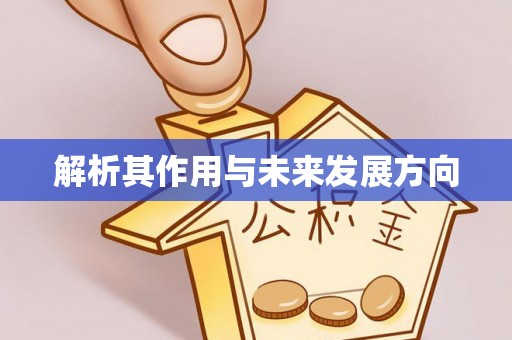 让胡路解析其作用与未来发展方向
