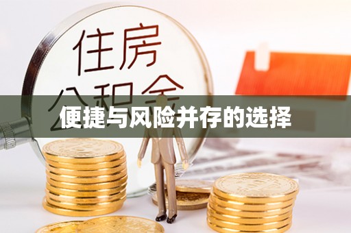 让胡路便捷与风险并存的选择