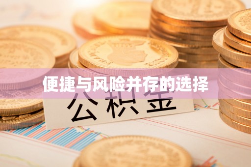 让胡路便捷与风险并存的选择